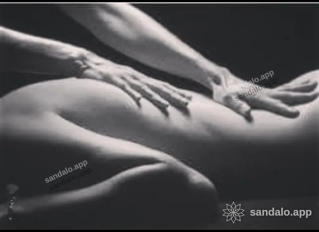 Banner do Perfil