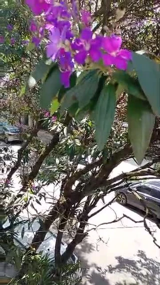 Preview do video 1 do massagista Seu Momento de Bem-Estar em Meu Espaço Próprio